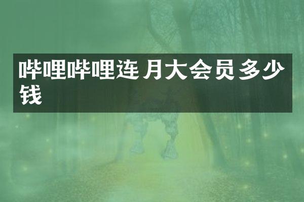 哔哩哔哩连月大会员多少钱