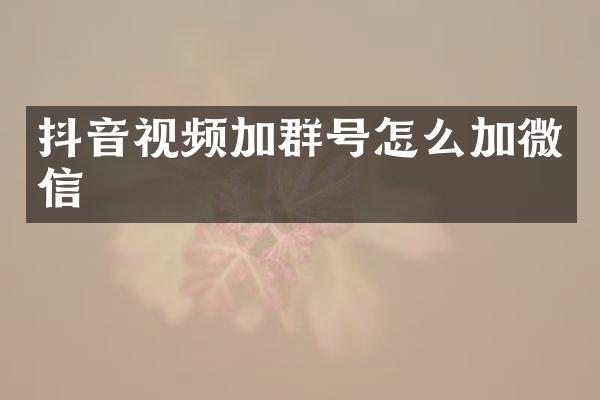 抖音视频加群号怎么加微信