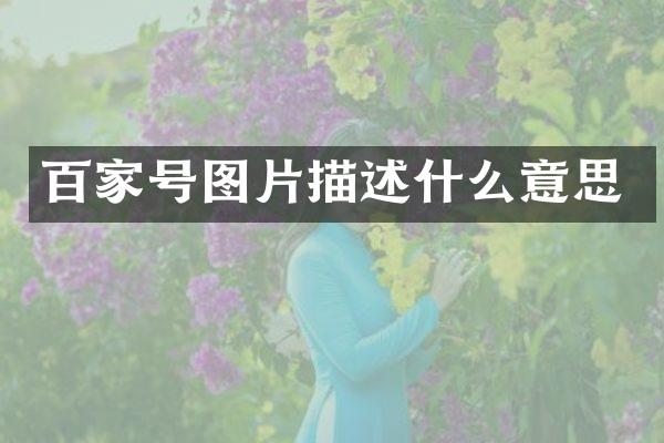 百家号图片描述什么意思