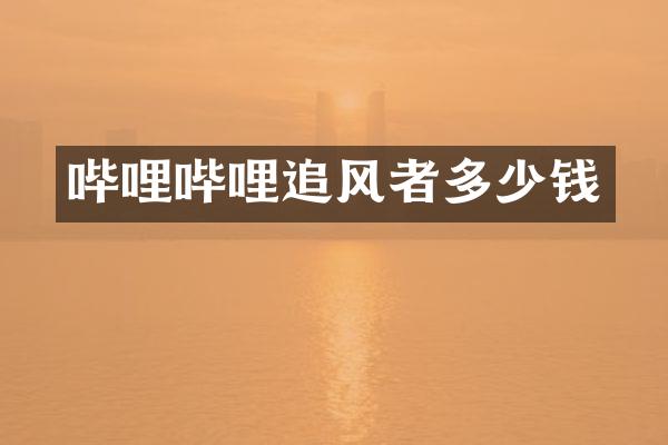 哔哩哔哩追风者多少钱
