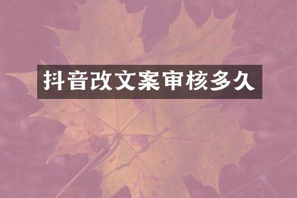 抖音改文案审核多久