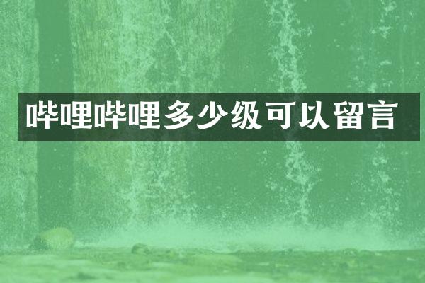 哔哩哔哩多少级可以留言