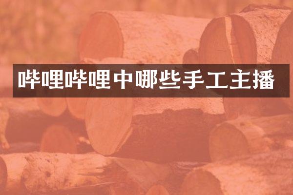 哔哩哔哩中哪些手工主播