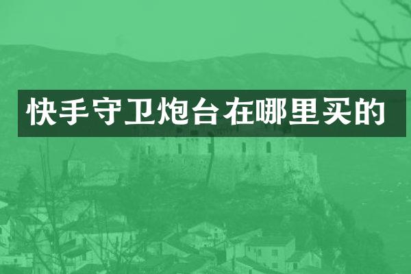 快手守卫炮台在哪里买的