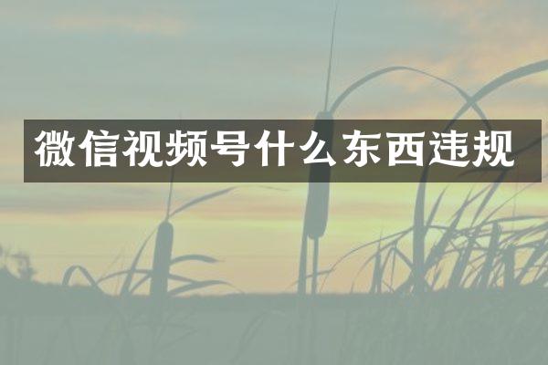 微信视频号什么东西违规