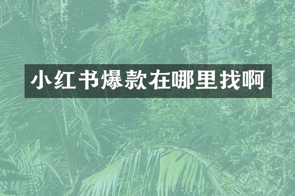 小红书爆款在哪里找啊
