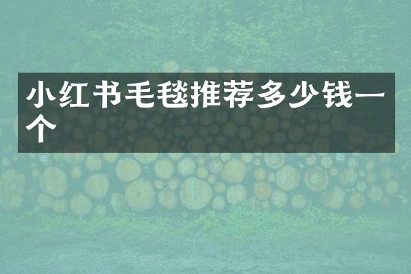 小红书毛毯推荐多少钱一个