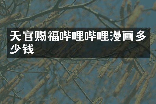 天官赐福哔哩哔哩漫画多少钱