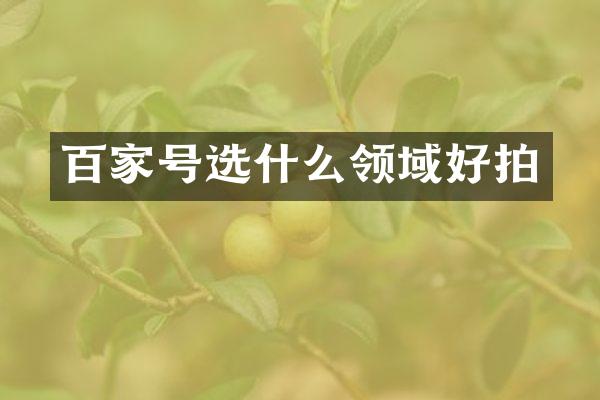 百家号选什么领域好拍