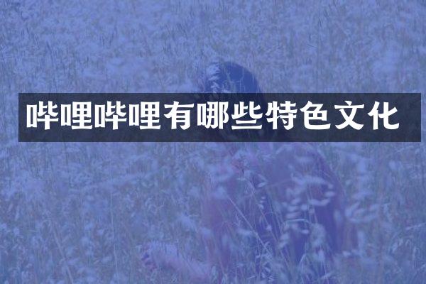 哔哩哔哩有哪些特色文化