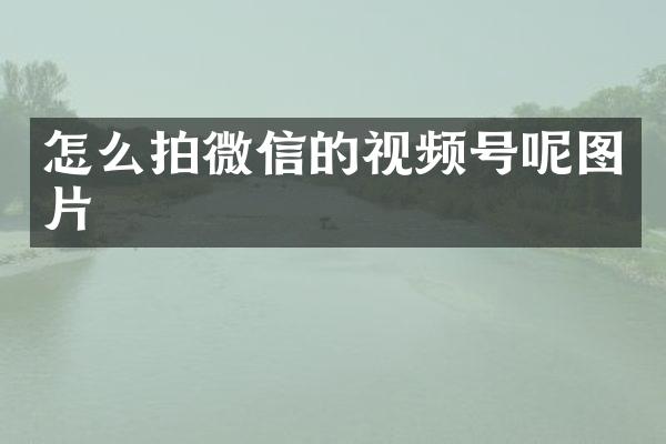 怎么拍微信的视频号呢图片