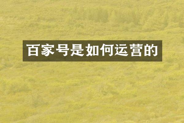 百家号是如何运营的