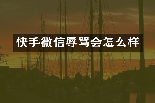 快手微信辱骂会怎么样