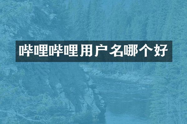 哔哩哔哩用户名哪个好