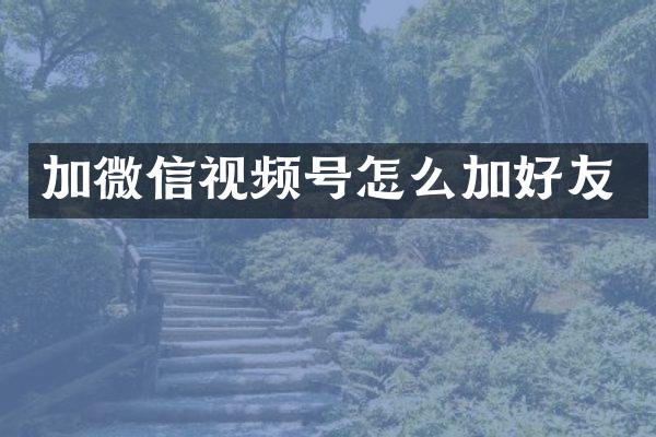 加微信视频号怎么加好友