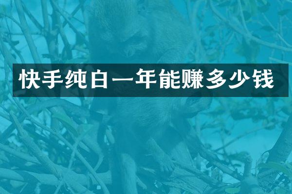 快手纯白一年能赚多少钱