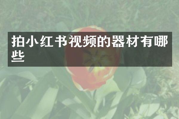 拍小红书视频的器材有哪些