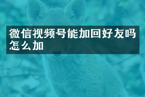 微信视频号能加回好友吗怎么加