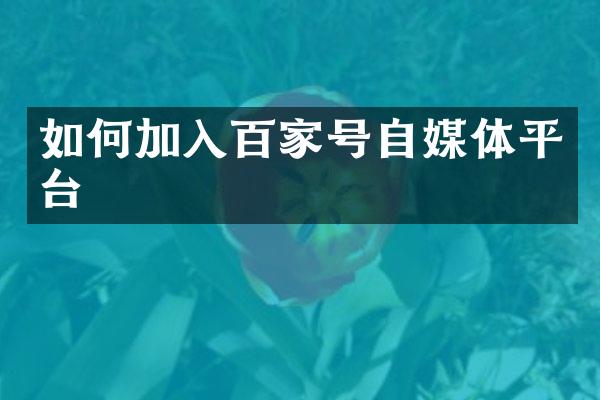 如何加入百家号自媒体平台