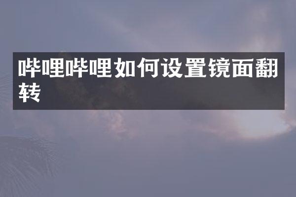 哔哩哔哩如何设置镜面翻转