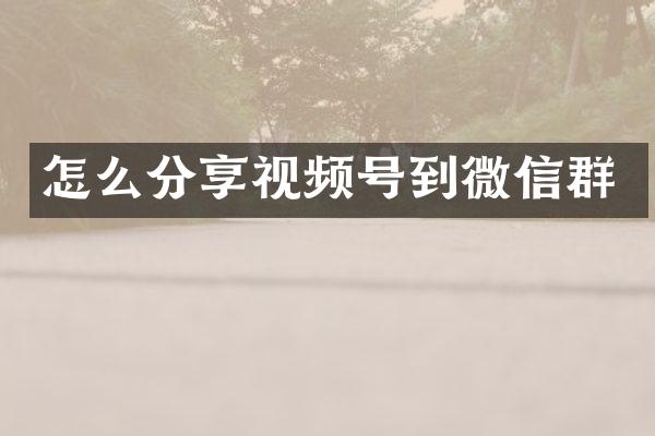怎么分享视频号到微信群