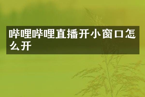 哔哩哔哩直播开小窗口怎么开