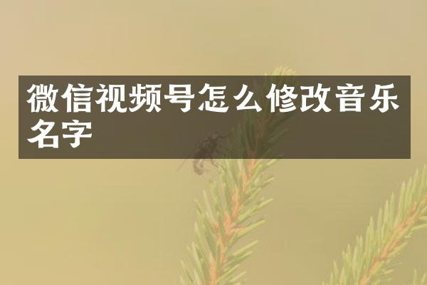 微信视频号怎么修改音乐名字