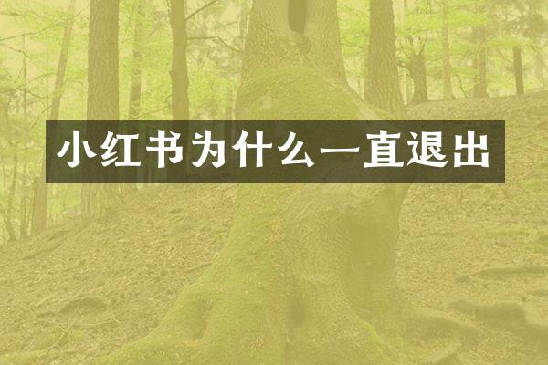 小红书为什么一直退出