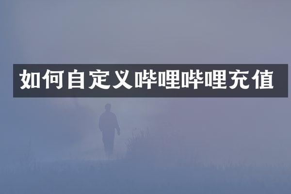 如何自定义哔哩哔哩充值