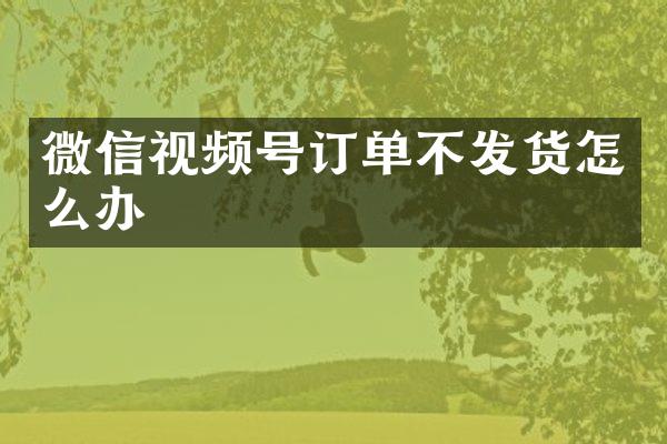 微信视频号订单不发货怎么办