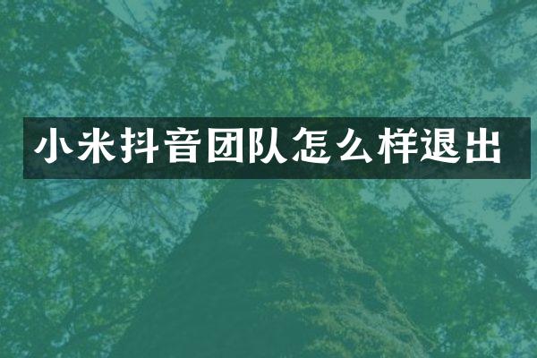 小米抖音团队怎么样退出