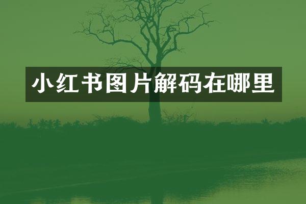 小红书图片解码在哪里