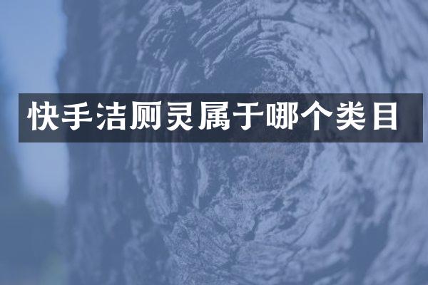 快手洁厕灵属于哪个类目