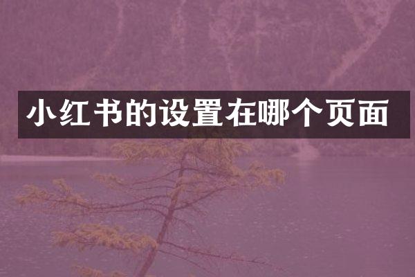 小红书的设置在哪个页面
