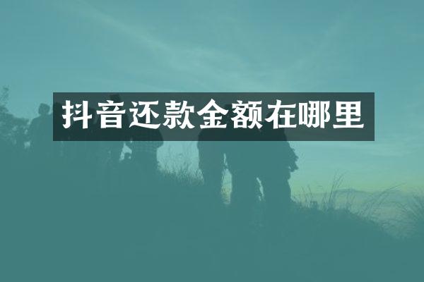 抖音还款金额在哪里