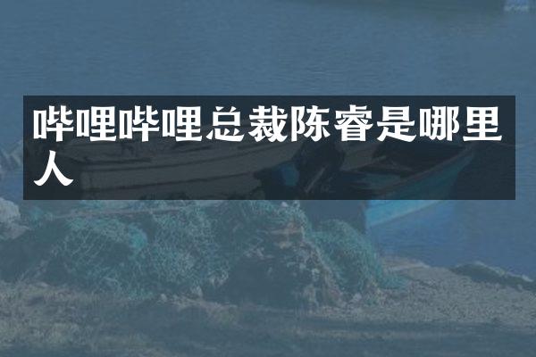 哔哩哔哩总裁陈睿是哪里人