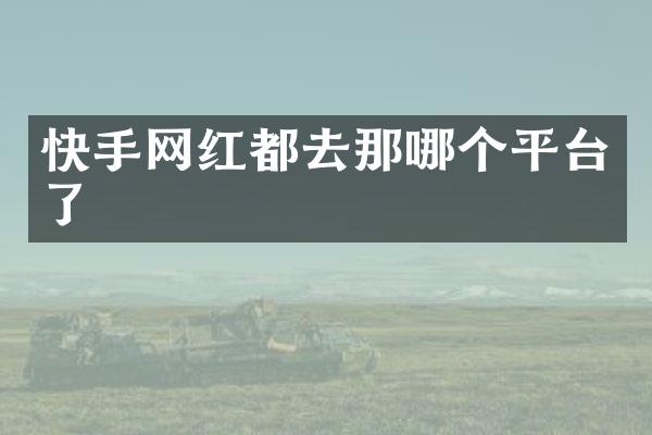快手网红都去那哪个平台了