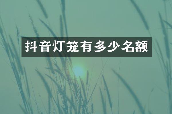 抖音灯笼有多少名额