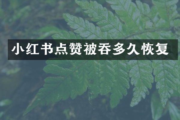 小红书点赞被吞多久恢复