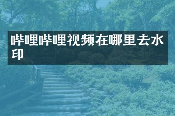 哔哩哔哩视频在哪里去水印