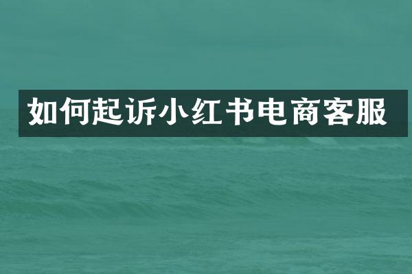 如何起诉小红书电商客服