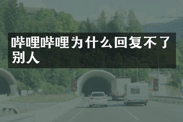 哔哩哔哩为什么回复不了别人
