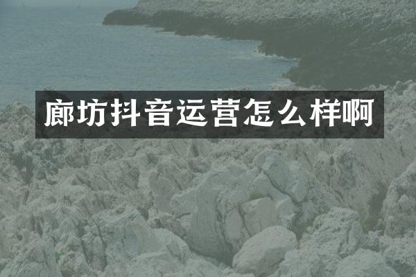 廊坊抖音运营怎么样啊