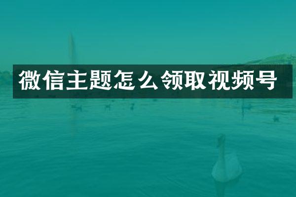 微信主题怎么领取视频号