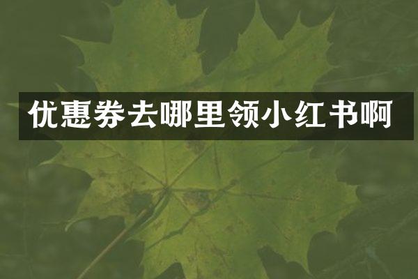 优惠券去哪里领小红书啊
