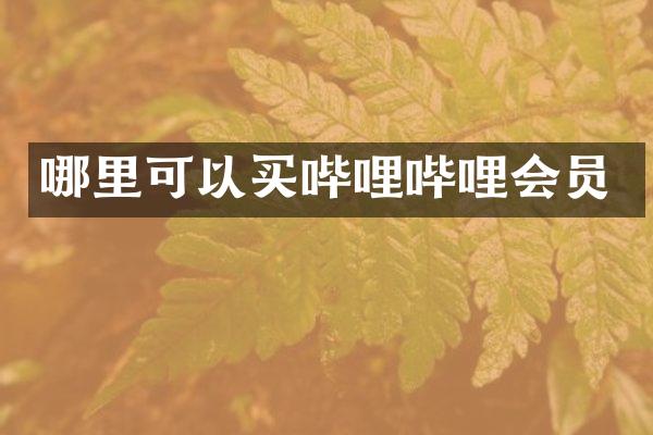 哪里可以买哔哩哔哩会员