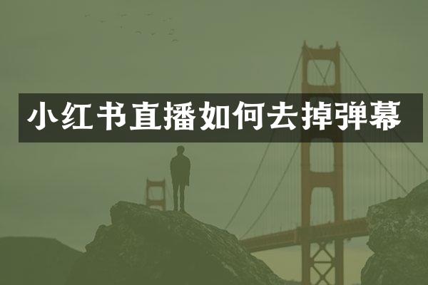 小红书直播如何去掉弹幕