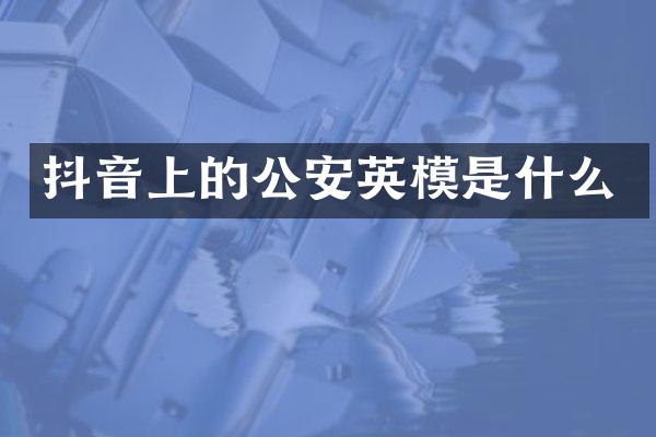 抖音上的公安英模是什么