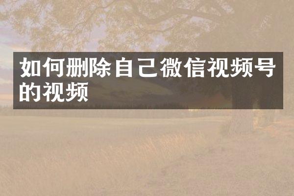 如何删除自己微信视频号的视频