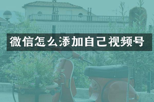 微信怎么添加自己视频号
